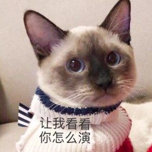 好想变成爱豆养的宠物啊...