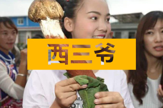 在云南吃蘑菇吃到中毒致幻,是种什么体验?