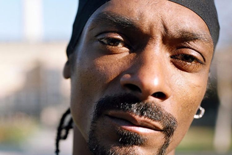 让美国再次强大狗爷发新作直怼川普